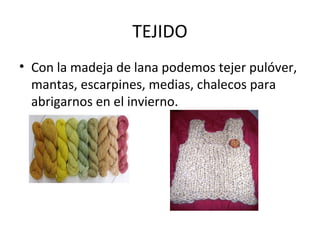 TEJIDO
• Con la madeja de lana podemos tejer pulóver,
mantas, escarpines, medias, chalecos para
abrigarnos en el invierno.
 