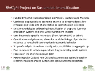 BioSight Project on Sustainable Intensification
• Funded by CGIAR research program on Policies, Institutes and Markets
• Combines biophysical and economic analysis to directly address key
synergies and trade-offs of alternative ag intensification strategies
• Links methodologies addressing intensification of crop and livestock
production systems and links with environment impacts
• Uses household-specific micro-data (from AfricaRISING or other);
• Quantitative analysis set-up allows for modular linkage of production
response to household consumption & economic behavior
• Scope of analysis: farm-level mostly, with possibilities to aggregate up
• Plan to expand to include aquaculture & agro-forestry prodn systems
• Focus is on the short-to-medium term
• Partnering with CG (and non-CG) analysts to create actionable policy
recommendations around sustainable agricultural intensification
 