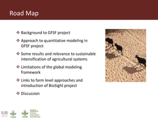 Road Map
 Background to GFSF project
 Approach to quantitative modeling in
GFSF project
 Some results and relevance to sustainable
intensification of agricultural systems
 Limitations of the global modeling
framework
 Links to farm level approaches and
introduction of BioSight project
 Discussion
 