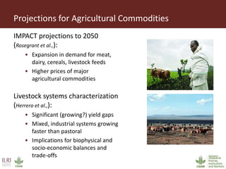 Projections for Agricultural Commodities
IMPACT projections to 2050
(Rosegrant et al.,):
• Expansion in demand for meat,
dairy, cereals, livestock feeds
• Higher prices of major
agricultural commodities
Livestock systems characterization
(Herrero et al.,):
• Significant (growing?) yield gaps
• Mixed, industrial systems growing
faster than pastoral
• Implications for biophysical and
socio-economic balances and
trade-offs
 