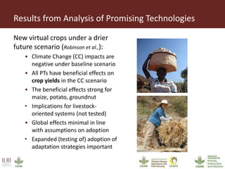 Foresight modeling to guide sustainable intensification of smallholder systems