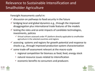 Relevance to Sustainable Intensification and
Smallholder Agriculture
Foresight Assessments useful in:
 discussion on pathways to food security in the future
 bridging local and global dynamics e.g., through the improved
disaggregation plus international trade features of the models
 testing the roles and ex ante impacts of candidate technologies,
investments, policies
 Virtual cultivars assessed under PT platform directly applicable to smallholder
agriculture in the selected countries and regions
 assessing systems and regions for growth potential and response to
shocks e.g., through improved production system characterization
 some trade-off assessment relevant at the macro-scale
• regional competition for biomass as food, feed, energy stock
• natural resource issues related to intensification
• economic benefits to consumers and producers
 