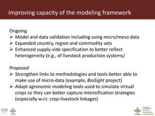 Foresight modeling to guide sustainable intensification of smallholder systems