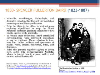 1850- SPENCER FULLERTON BAIRD  (1823-1887)   Naturalist, ornithologist, ichthyologist, and dedicated collector, Baird helped the Institution amassing natural history collections.  From the 1850s to the 1880s, he sent out many exploring expeditions to map the North American continent gathering specimens of new plants, insects, birds, and rocks.  To obtain these collections, Baird established correspondence with interested individuals across the continent. These collectors in turn, sent him Indian artifacts and specimens of plants, rocks, insects, meteorites, birds, and dinosaurs.  Baird also gathered together a group of young men, called  The Megatherium Society , whom he taught how to explore, collect, and conduct scientific research. Henson, P. (n.d.). “Baird as Assistant Secretary and the Growth of  the Dream”. ”.  http://siarchives.si.edu/ Retrieved  March 18, 2011  from http://siarchives.si.edu/history/exhibits/baird/bairdc.htm The Megatherium Society, c. 1855,  Source:  Smithsonian Institution Archives, Record Unit 95, Box 27-C, Folder: Kennicott 
