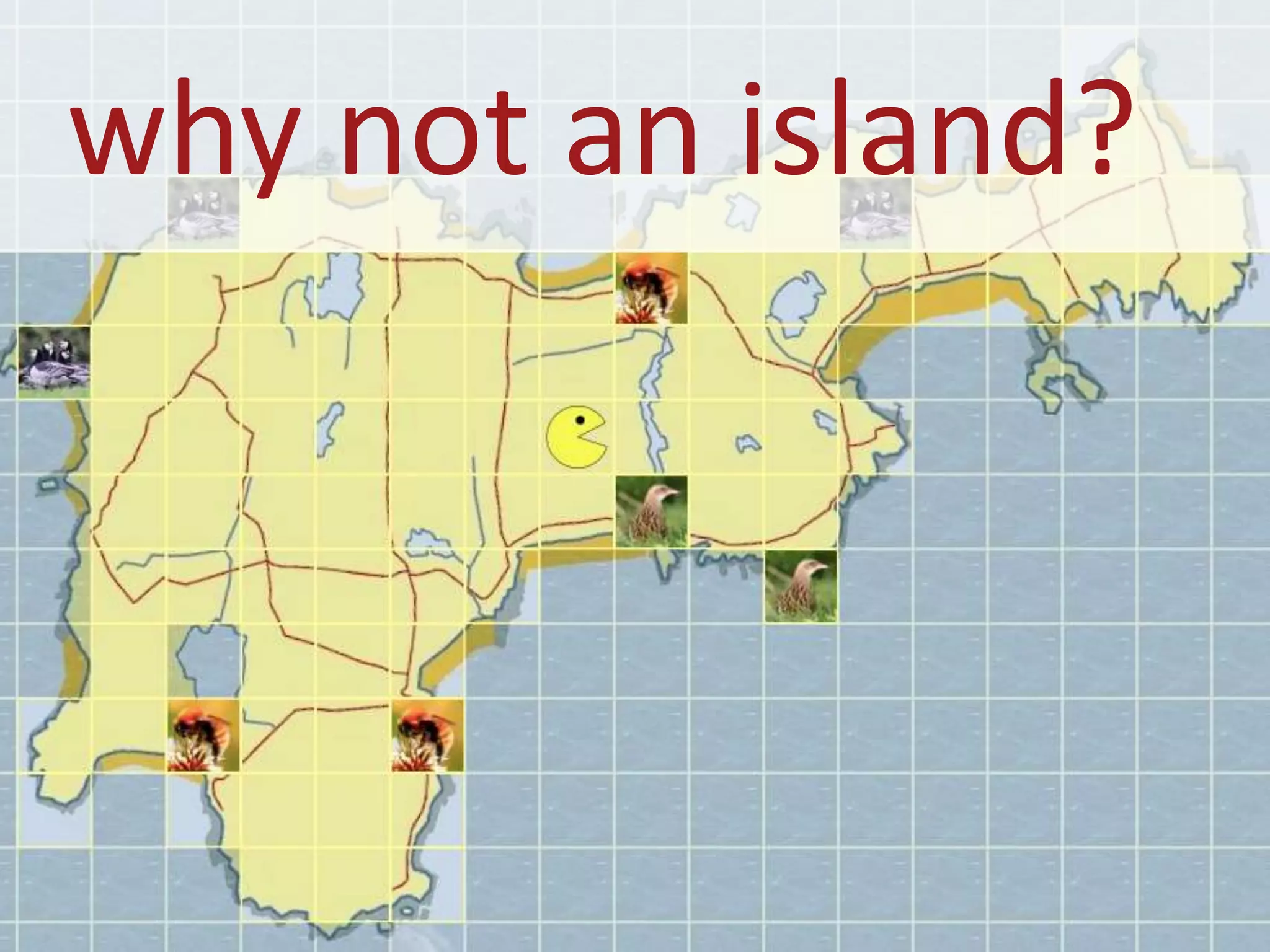 why not an island?
 