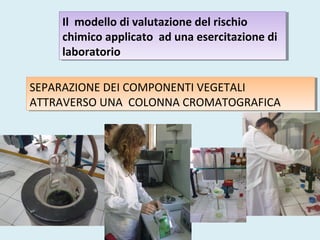 Il modello di valutazione del rischio
chimico applicato ad una esercitazione di
laboratorio
Il modello di valutazione del rischio
chimico applicato ad una esercitazione di
laboratorio
SEPARAZIONE DEI COMPONENTI VEGETALI
ATTRAVERSO UNA COLONNA CROMATOGRAFICA
SEPARAZIONE DEI COMPONENTI VEGETALI
ATTRAVERSO UNA COLONNA CROMATOGRAFICA
 