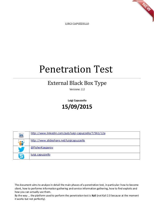 penetration testing - black box type. - 