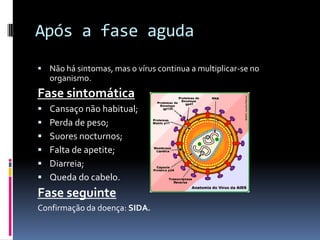 Após a fase agudaNão há sintomas, mas o vírus continua a multiplicar-se no organismo. Fase sintomáticaCansaço não habitual; Perda de peso; Suores nocturnos; Falta de apetite; Diarreia; Queda do cabelo. Fase seguinteConfirmação da doença: SIDA. 
