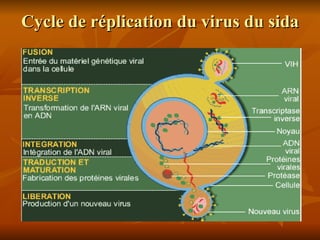 Cycle de réplication du virus du sida 