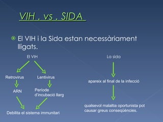 El VIH i la Sida estan necessàriament lligats. El VIH   La sida Debilita el sistema immunitari apareix al final de la infecció qualsevol malaltia oportunista pot causar greus conseqüències. ARN Retrovirus Lentivirus Període d’incubació llarg VIH . vs . SIDA  