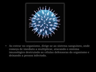 • Ao entrar no organismo, dirige-se ao sistema sanguíneo, onde
  começa de imediato a multiplicar, atacando o sistema
  imunológico destruindo as células defensoras do organismo e
  deixando a pessoa infectada.
 