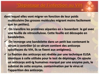 *Dépistage de l’infection au VIH

dans lequel elles vont migrer en fonction de leur poids
  moléculaire (les grosses molécules migrant moins facilement
  que les petites).
 On transfère les protéines séparées en « buvardant le gel avec
  une feuille de nitrocellulose. Cette feuille est découpée en
  bandelettes.
 On immerge une bandelette dans un petit bac contenant le
  sérum à contrôler (si ce sérum contient des anticorps
  spécifiques du VIH, ils se fixent aux antigènes).
 La fixation des anticorps est révélée par une technique ELISA
  identique à celle utilisée pour le test de dépistage. On ajoute
  un anticorps anti-Ig humaines marqué par une enzyme puis, le
  substrat de cette enzyme. contamination par le virus et
  l’apparition des anticorps.
 