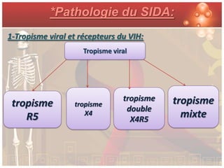 *Pathologie du SIDA:
1-Tropisme viral et récepteurs du VIH:
                     Tropisme viral




                                 tropisme   tropisme
 tropisme         tropisme
                                  double
    R5               X4
                                   X4R5
                                              mixte
 