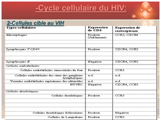-Cycle cellulaire du HIV:
2-Cellules cible au VIH
 
