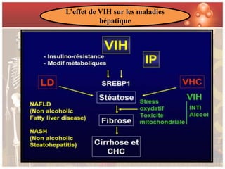 L’effet de VIH sur les maladies
           hépatique
 