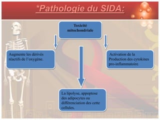 *Pathologie du SIDA:
                               Toxicité
                            mitochondriale




Augmente les dérivés                                 Activation de la
réactifs de l’oxygène.                               Production des cytokines
                                                     pro-inflammatoire.




                         La lipolyse, appoptose
                         des adipocytes ou
                         différenciation des cette
                         cellules.
 