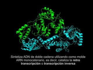 Retrotranscriptasa Inversa farmacologia para el SIDA | PPTX
