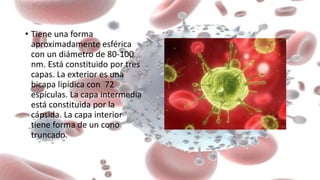 • Tiene una forma
aproximadamente esférica
con un diámetro de 80-100
nm. Está constituido por tres
capas. La exterior es una
bicapa lipídica con 72
espículas. La capa intermedia
está constituida por la
cápsida. La capa interior
tiene forma de un cono
truncado.
 