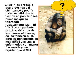El VIH 1 es probable
que provenga del
chimpancé y podría
haber existido hace
tiempo en poblaciones
humanas que lo
toleraban
relativamente bien. El
VIH 2 es un pariente
próximo del virus de
los monos africanos,
causa también SIDA,
pero su transmisión es
más difícil y causa la
enfermedad con menor
frecuencia y menor
rapidez que el VIH
?
 