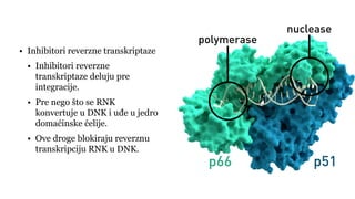 • Inhibitori reverzne transkriptaze
• Inhibitori reverzne
transkriptaze deluju pre
integracije.
• Pre nego što se RNK
konvertuje u DNK i uđe u jedro
domaćinske ćelije.
• Ove droge blokiraju reverznu
transkripciju RNK u DNK.
 
