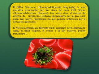 El SIDA (Síndrome d'Immunodeficiència Adquirida) és una
malaltia provocada per un virus de nom VIH (Virus
d'Immunodeficiència Humana). Este virus ataca al sistema de
defensa de l'organisme (sistema immunitari), per la qual cosa
quan açò ocorre, l’organisme no pot generar anticossos per a
vèncer les infeccions.

El VIH està present en diferents fluids corporals però solament la
sang, el fluid vaginal, el semen i la llet materna poden
transmetre’l..
 