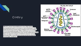 Sida (aids) | PPT