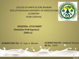 INDUSTRIAL ATTACHMENT
(Horticulture Work Experience)
(HWE-101)
SUBMITTED TO: Er. Tejas A. Bhosale SUBMITTED BY: Siddharth Khanna
ID No.: 16039
COLLEGE OF HORTICULTURE BHARSAR
VCSG UTTARAKHAND UNIVERSITY OF HORTICULTURE
& FORESTRY
PAURI GARHWAL
1
 