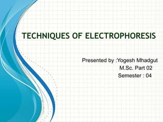 TECHNIQUES OF ELECTROPHORESIS
Presented by :Yogesh Mhadgut
M.Sc. Part 02
Semester : 04
 