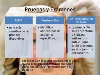 Pruebas y Exámenes
ELISA
• es la más
sensitiva de las
pruebas
disponibles.
Western Blot
• identifica
anticuerpos de
antígenos
específicos.
IFA (Immunofluoresc
ent Assay)
• La prueba IFA
sólo encontrará
e indicará
anticuerpos
anti-VIH que
están presentes
en el organismo
del paciente.
Si la prueba ELISA da positivo repetidamente en su
muestra de sangre, entonces se debe hacer una
prueba más específica — la "Western Blot" o la
prueba IFA
 