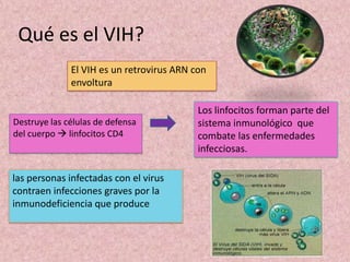 El VIH es un retrovirus ARN con
envoltura
Destruye las células de defensa
del cuerpo  linfocitos CD4
Los linfocitos forman parte del
sistema inmunológico que
combate las enfermedades
infecciosas.
las personas infectadas con el virus
contraen infecciones graves por la
inmunodeficiencia que produce
Qué es el VIH?
 