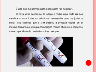 É isso que lhe permite criar a base para “se duplicar”.
O novo vírus separa-se da célula e rouba uma parte da sua
membrana, com todas as estruturas necessárias para se juntar a
outra. Isso significa que o VIH passou a produzir cópias de si
mesmo, tornando o sistema imunológico menos eficiente e perdendo
a sua capacidade de combater outras doenças.
 