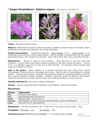 * Oregon Checkerbloom – Sidalcea oregana

(sid-AL-see-uh or-reh-GAH-nuh )

Family: Malvaceae (Mallow Family)
Native to: Northwestern CA to WA, Wyoming & Utah; meadows, stream margins, wet places, also in
ponderosa pine forests and sagebrush, low to high elevations.

herbaceous perennial
mature height: 2-4 ft.
mature width: 1-2 ft.
Herbaceous perennial from a stout woody taproot. Plant is variable in characteristics but has deeply
lobed fleshy leaves, often clustered at the base. Lower half of plant often hairy, sometimes densely.

Growth characteristics:

Blooms in spring to early summer – often May-June or July but varies with
conditions. Typical mallow-type flowers densely clustered on tall stems above the leaves. Flowers
¾ to 1” in diameter, deep pink to light pink or light lavender. An extremely showy Sidalcea that
makes an excellent cut flower.

Blooms/fruits:

Showy addition to a watered perennial bed with native Lilies, Scarlet
Monkeyflower, Giant Chain Fern, and sedges and rushes. Right at home in the woodland or cottage
garden. Striking when massed. Would do well around the edges of a vegetable garden, orchard or
lawn. Several attractive hybrids available: ‘Brilliant’ hybrid has bright red flowers; ‘Elsie Heugh’
hybrid has pink flowers (an older hybrid); ‘Party Girl’ hybrid has flowers in a range of pinks.

Uses in the garden:

Sensible substitute for: Non-native mallows, Hollyhocks.
Attracts: Attracts insect pollinators, butterflies, hummingbirds. Birds eat the seeds.
Requirements:
Element
Sun
Soil
Water
Fertilizer
Other

Requirement

Full sun to part-shade.
Well-drained soils; any local pH
Regular water – Zone 2-3 or 3.
Not required, but will tolerate low dose fertilizers, organic amendments.
Not good in hot, windy gardens.

Management:

Cut back the stalks in fall. Divide every 2 to 3 years in early spring.

Propagation: from seed: easy

by divisions:

Easy.

easy

Plant/seed sources (see list for source numbers): 1, 13; cultivars also available

3/29/11
© Project SOUND

 