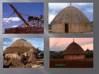 SHEEKA
 
