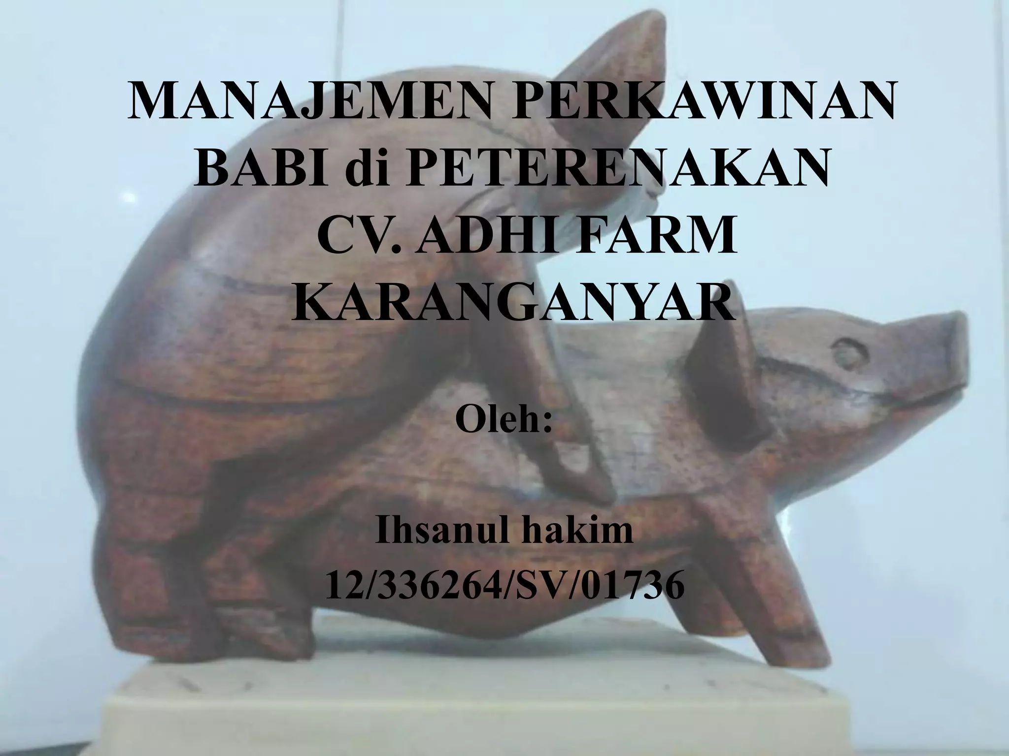 MANAJEMEN PERKAWINAN PADA BABI DI CV. ADHI FARM KARANGANYAR | PPTX