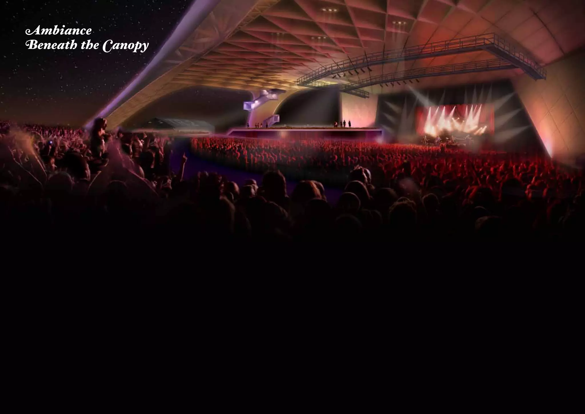 Ambiance
Beneath the Canopy
 