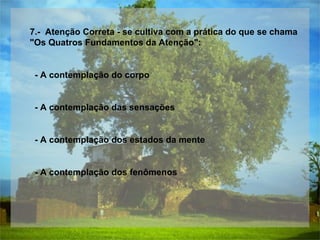 7.-  Atenção Correta - se cultiva com a prática do que se chama  "Os Quatros Fundamentos da Atenção":  - A contemplação do corpo  - A contemplação das sensações  - A contemplação dos estados da mente  - A contemplação dos fenômenos  