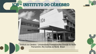 ICB – Instituto do cérebro
Instituto do Cérebro · Universidade Federal do Rio Grande do Norte
Parnamirim, Rio Grande do Norte, Brasil
 