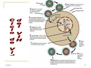 Ciclo de Vida  del VIH 12/09/11 
