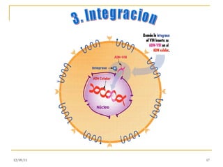 3. Integracion 12/09/11 