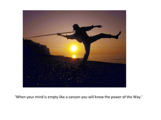 'When your mind is empty like a canyon you will know the power of the Way.'  