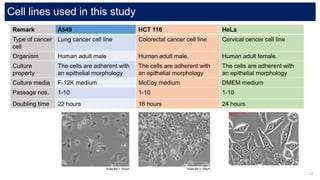 Hct Cell Line Introduction to metal medicines | PPTX
