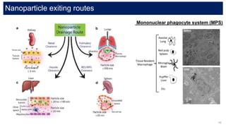 Cellular uptake of nanoparticles (metals) | PPTX