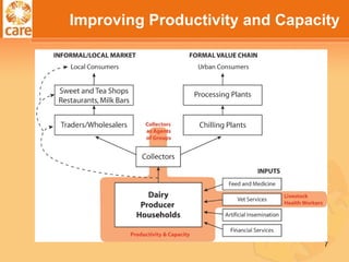  Strengthening the Dairy Value Chain in Bangladesh: Changing lives for dairy farmers  