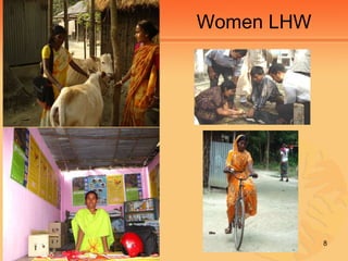  Strengthening the Dairy Value Chain in Bangladesh: Changing lives for dairy farmers  