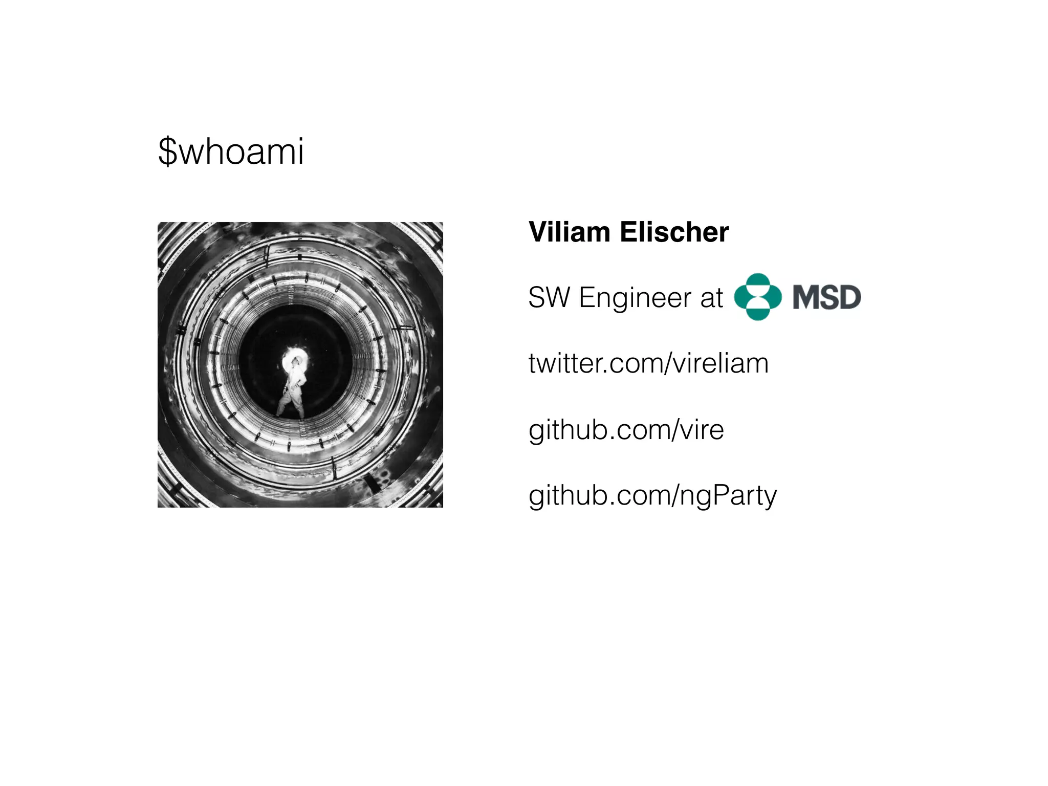 $whoami
Viliam Elischer
SW Engineer at
twitter.com/vireliam
github.com/vire
github.com/ngParty
 