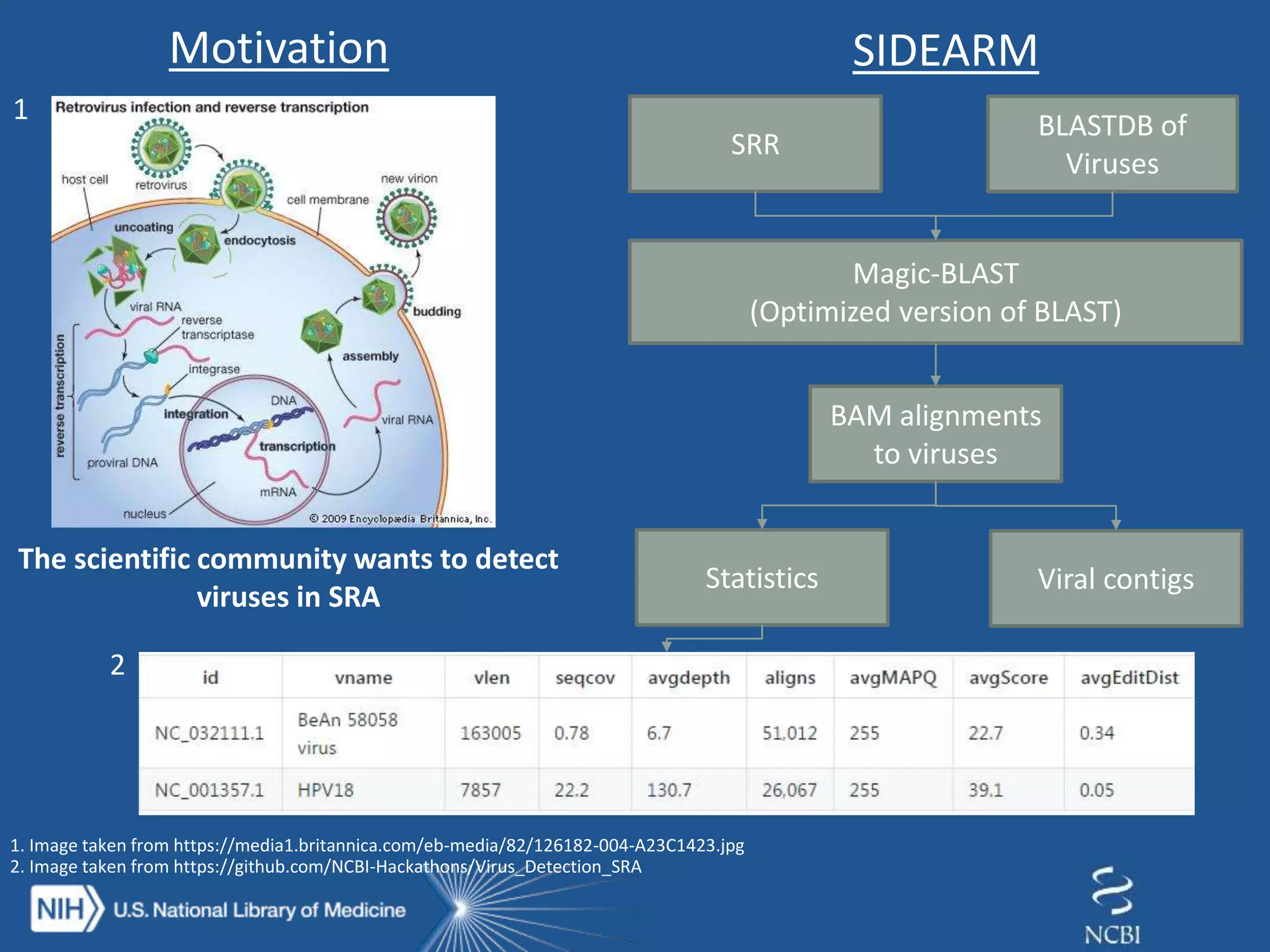 1. Image taken from https://media1.britannica.com/eb-media/82/126182-004-A23C1423.jpg
1
The scientific community wants to detect
viruses in SRA
SIDEARM
SRR
BLASTDB of
Viruses
Magic-BLAST
(Optimized version of BLAST)
BAM alignments
to viruses
Statistics Viral contigs
Motivation
2
2. Image taken from https://github.com/NCBI-Hackathons/Virus_Detection_SRA
 