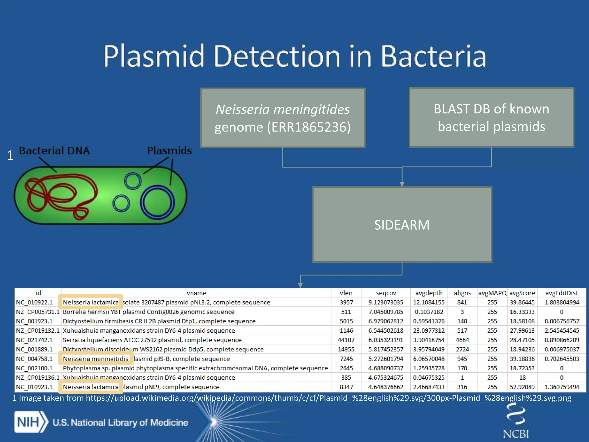 Neisseria meningitides
genome (ERR1865236)
BLAST DB of known
bacterial plasmids
SIDEARM
1 Image taken from https://upload.wikimedia.org/wikipedia/commons/thumb/c/cf/Plasmid_%28english%29.svg/300px-Plasmid_%28english%29.svg.png
1
 