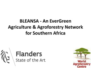 BLEANSA - An EverGreen
Agriculture & Agroforestry Network
for Southern Africa
 
