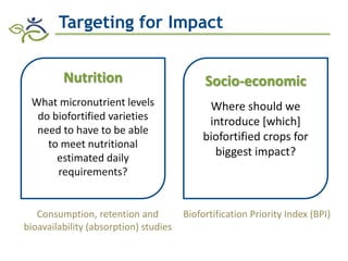 Biofortification in AfricaEvidence of Success and Vision for Scaling Up