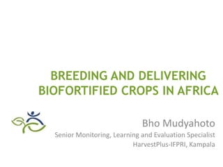 Biofortification in AfricaEvidence of Success and Vision for Scaling Up